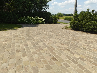 Indische Platines Okergeel langwerpig