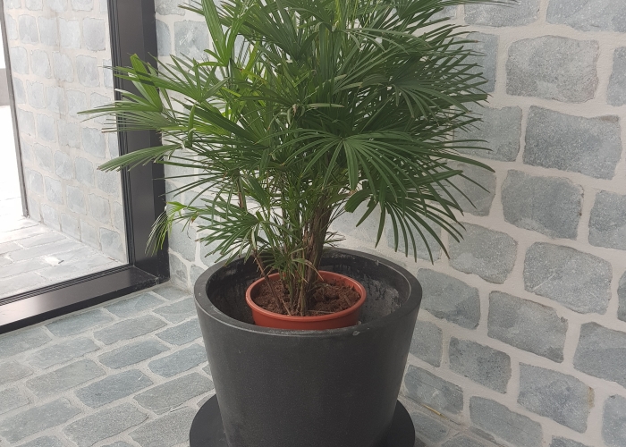 Schilde cultureel centrum gezaagde langwerpige porfier