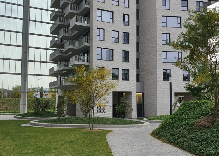 Gezaagde Portugese graniet Roriz