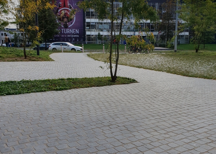 Gezaagde Portugese graniet Roriz