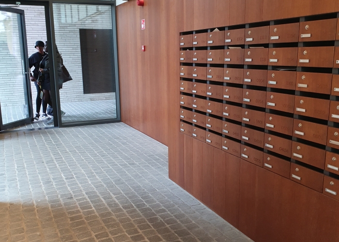 Gezaagde Portugese graniet Roriz